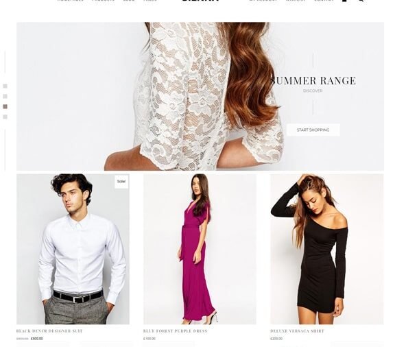 ecommerce store website design service