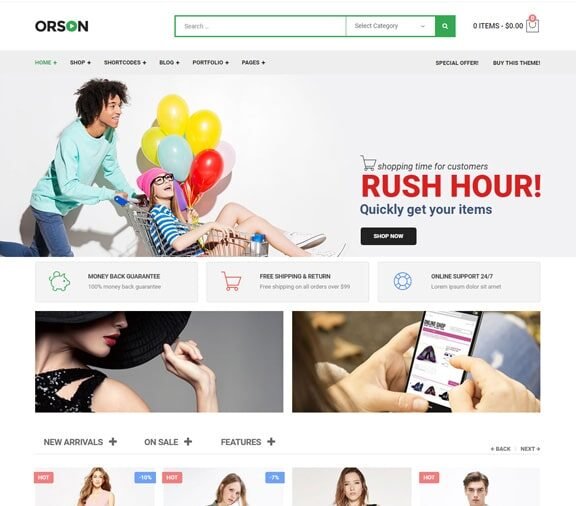 ecommerce store website design service