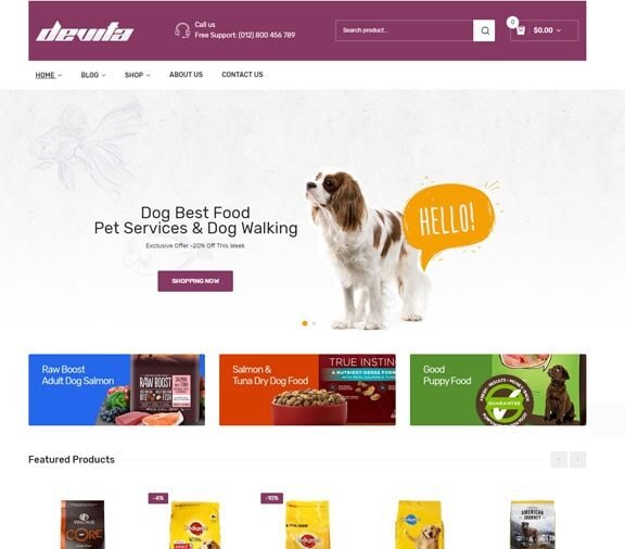 ecommerce website design service